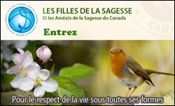 Les Filles de la Sagesse du Canada